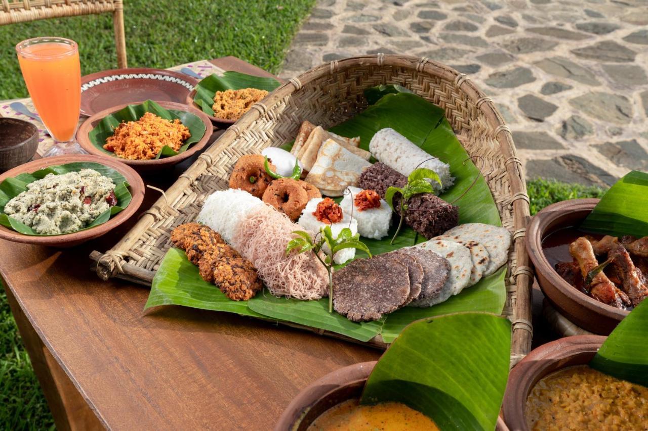 Wild Glamping Gal Oya - Thema Collection Hotel Galgamuwa  Exterior photo